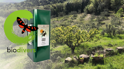 Oliveti biodiversi – ein Projekt setzt neue Standards